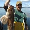 big Whidbey ling