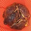 July Dungeness Crab