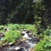 alpine stream