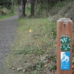 Larry Scott Trail