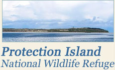 Protection Island National Wildlife Refuge
